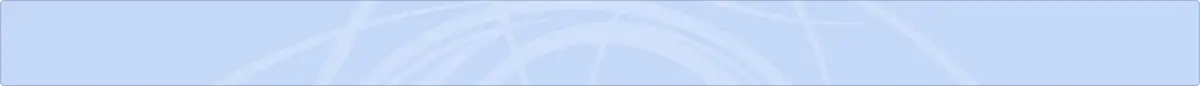 section header banner